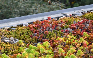 the cost of Kehelland green roof installation
